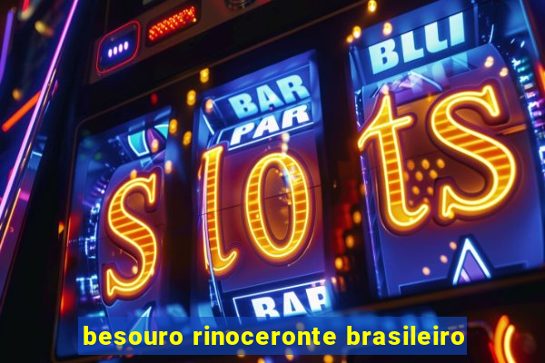 besouro rinoceronte brasileiro